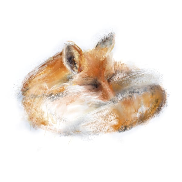Fox Wall Art Illustration 