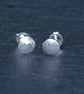 Leaf stud earrings - Image 1