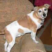 Out of the Bottle Creations