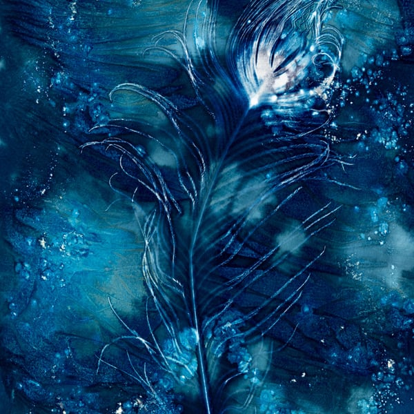 Peacock Feather 2 Cyanotype Card