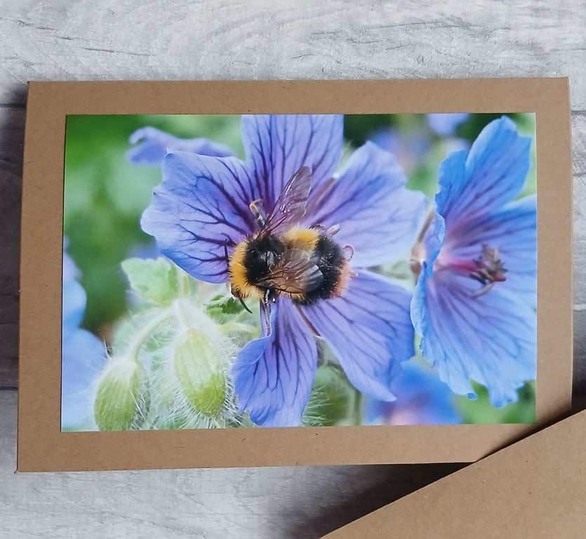 Bee on Geraniums Photo Card