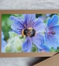 Bee on Geraniums Photo Card - Image 1