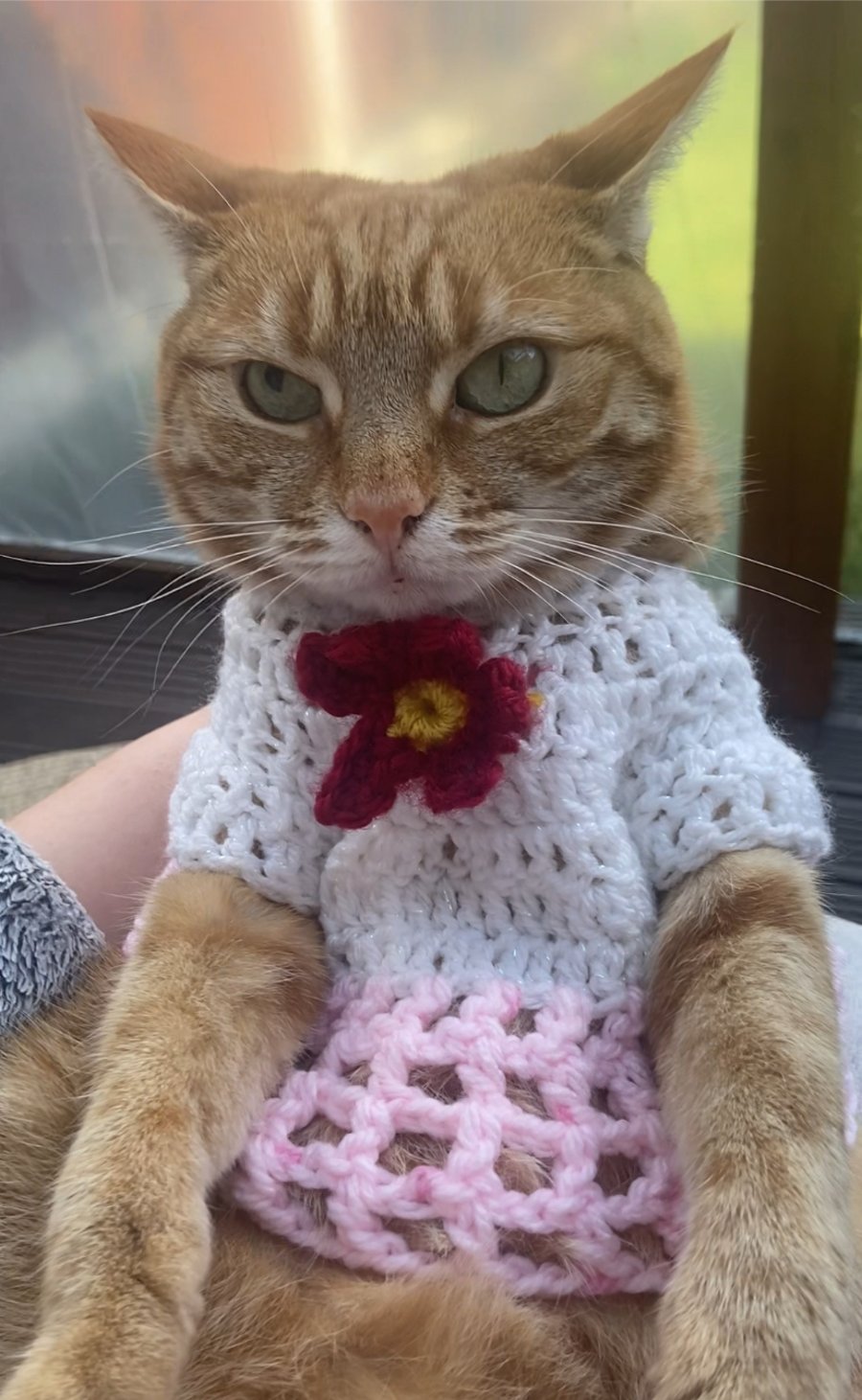 Yarn Couture