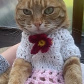 Yarn Couture