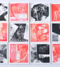 Abstract Moments Collection - Box of 12 Small Cards - Image 2