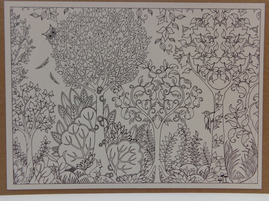 Mindfulness Colouring Card Made From Joahanna Basford's Postcards.