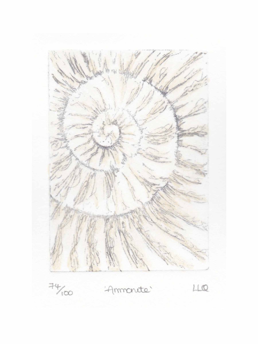Etching no.74 of an ammonite fossil with mixed media in an edition of 100
