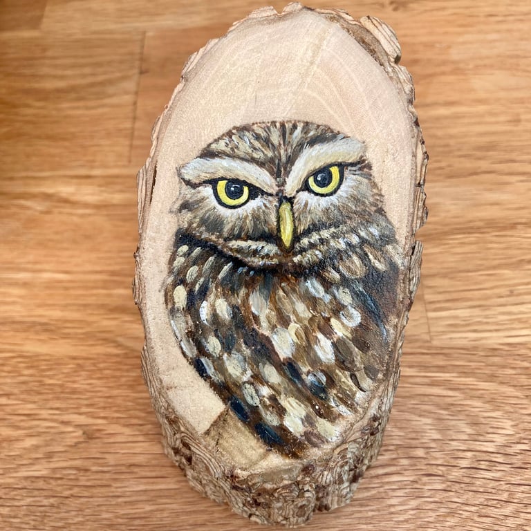 Little owl wood stump painting