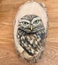 Little owl wood stump painting - Image 1