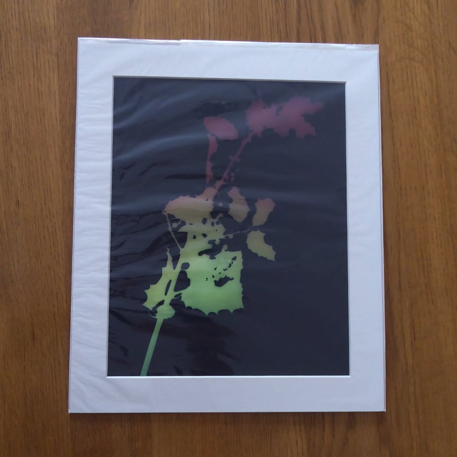 Holly I Print from Original Photogram - Ivory mount to fit 10x12 inch frame 