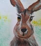Woodland rabbit suttle background  - Image 2