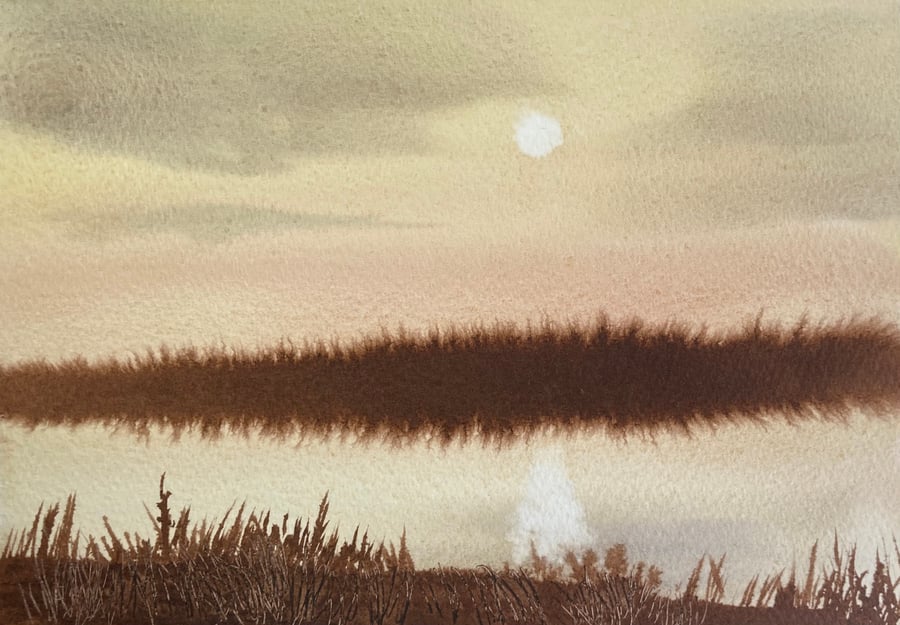 Work from a YouTube demo (Original Watercolour and ink)