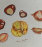 A STUDY OF CONKERS