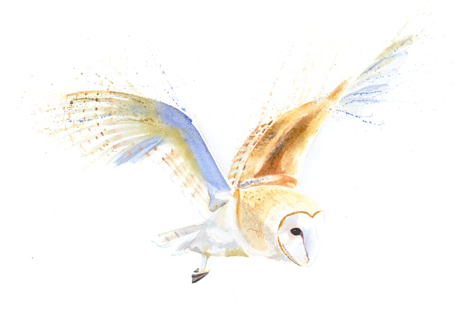 Flying Barn Owl, giclée print, A3