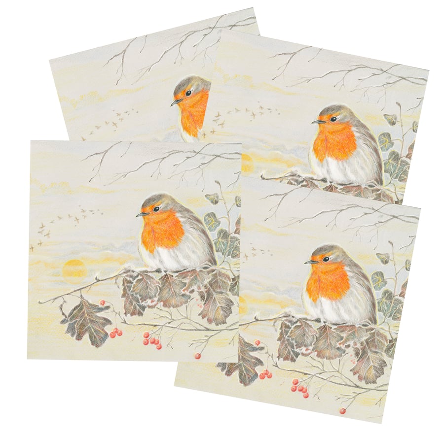 4 x Robin Christmas cards - Frosty Robin Art cards