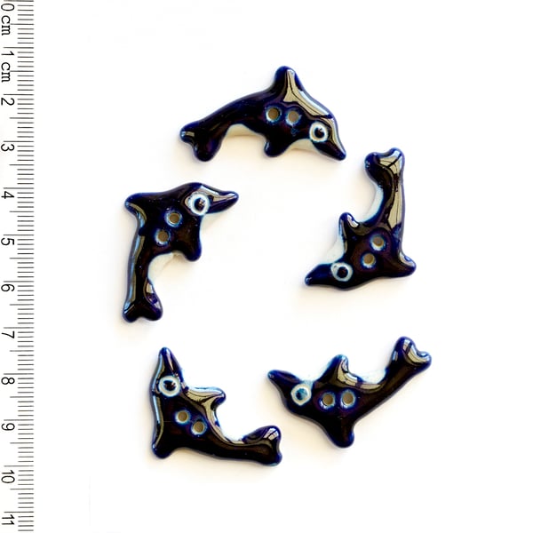L71 Dolphin Buttons