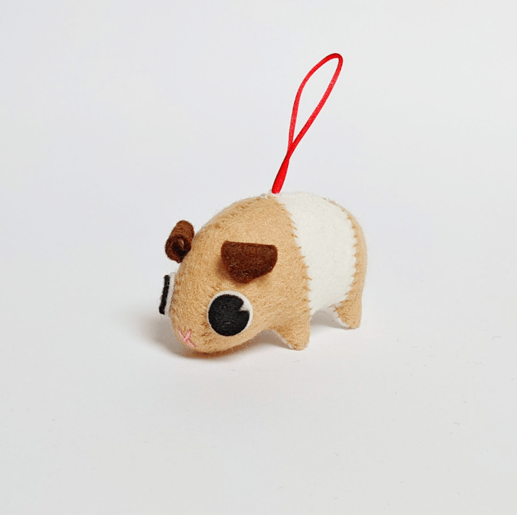 Gifts for Guinea Pig Lovers