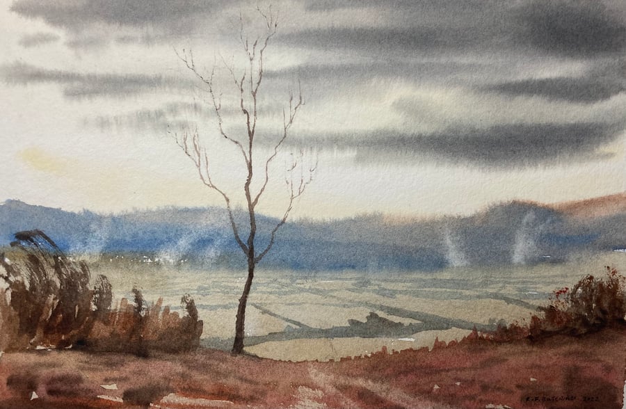 Burning heather (Original Watercolour) 
