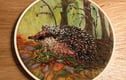 Textile Pictures