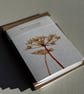 Seedhead Seeds Flower Birthday Blank Greetings Card (QM317) - Image 4