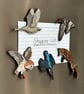 Oystercatcher Wooden Magnet - Image 6