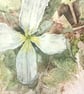 Clematis- Original Watercolour - Image 3