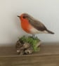 Needle felted bird garden robin  - Image 1