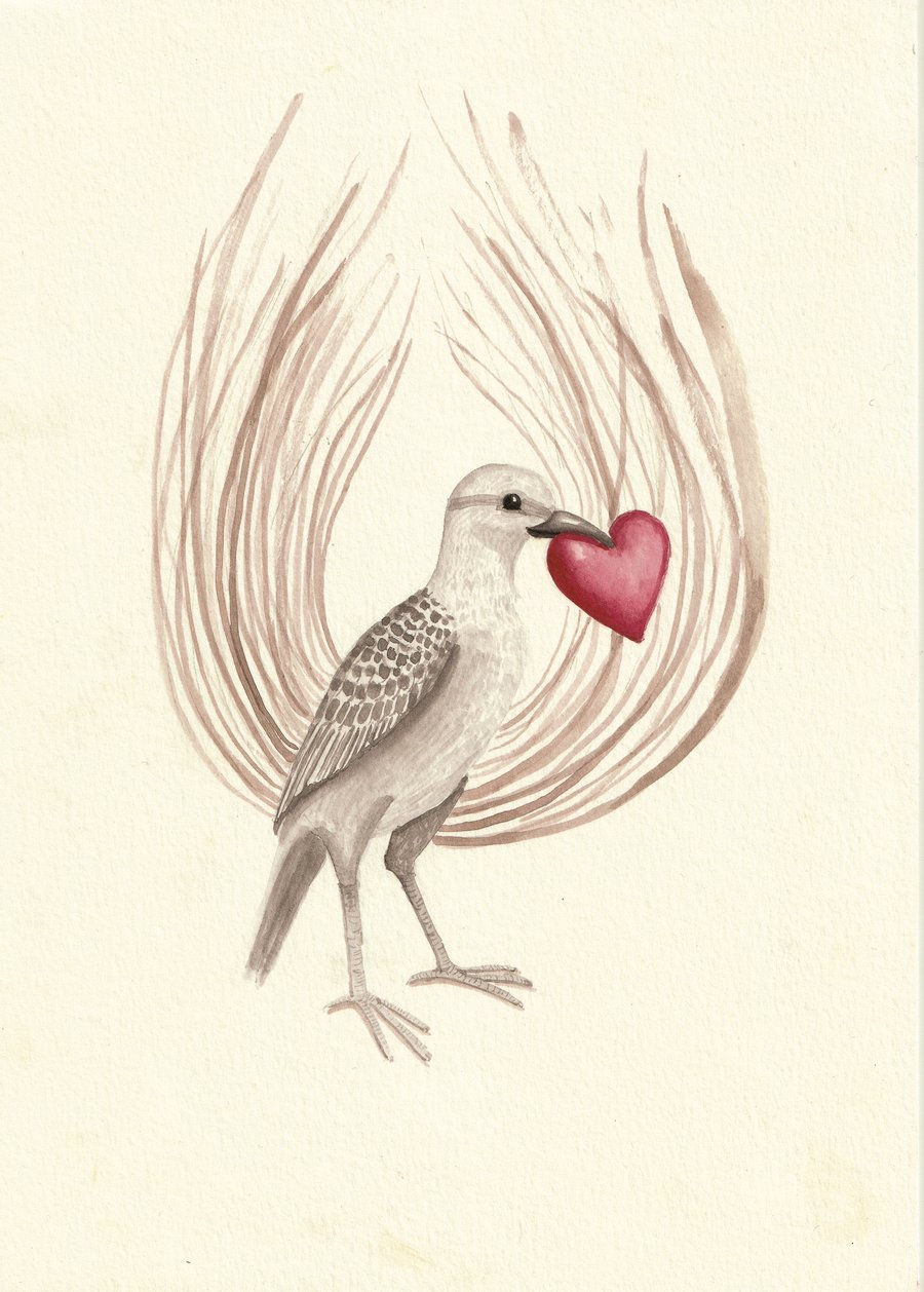 Cute bird with love heart - original A4 watercolour painting