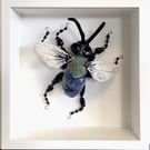 Ceramic Porcelain Bug Fly- Howard