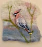 Perfectly Imperfect Waxwing Bird  - Image 3