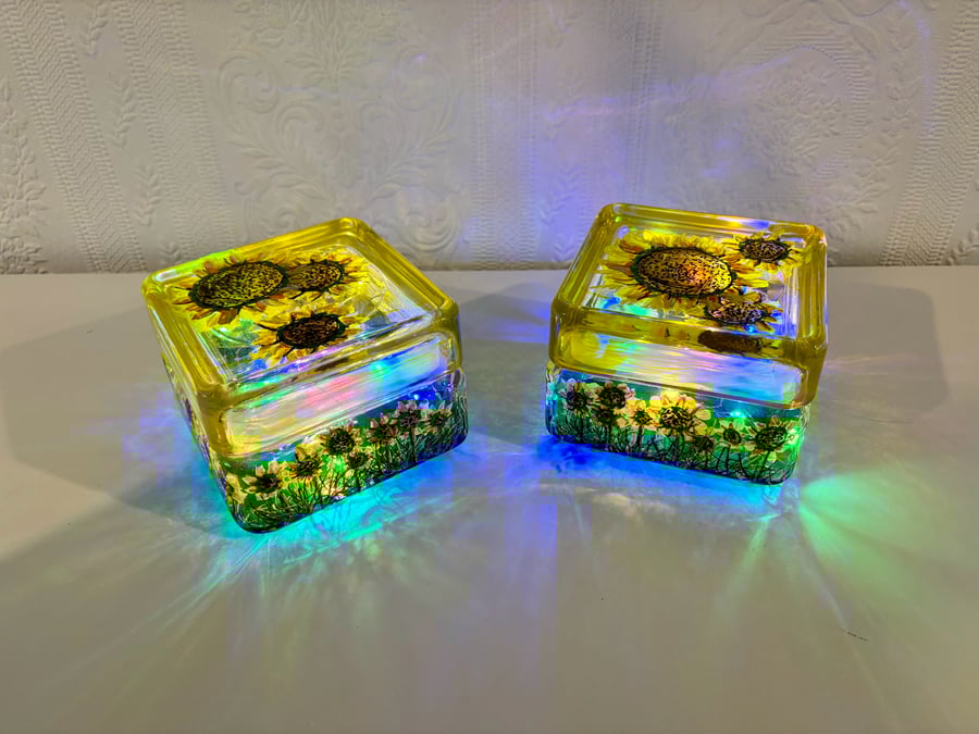 A pair of hand painted and fired glass containers by Andrew Jenkins 