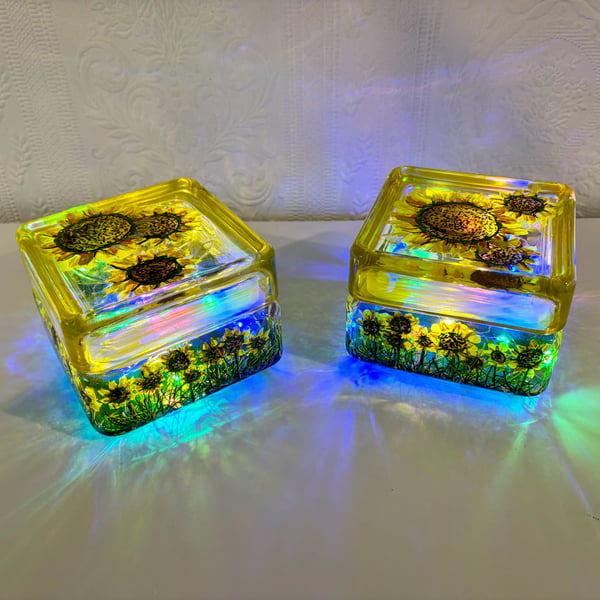 A pair of hand painted and fired glass containers by Andrew Jenkins 