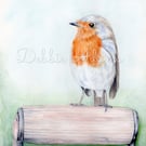 Limited edition "Robin" watercolour prints 