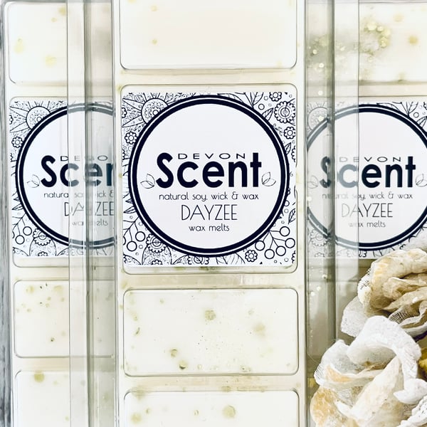 Dayzee Snap Bar Soy Wax Melts