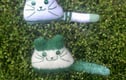 KITTENS