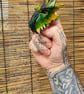 Dragon finger Puppet - Green and Yellow - Image 1