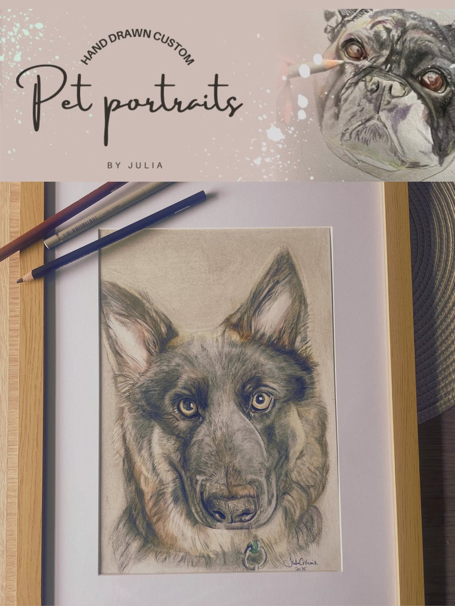 Custom pet portraits - Hand drawn 