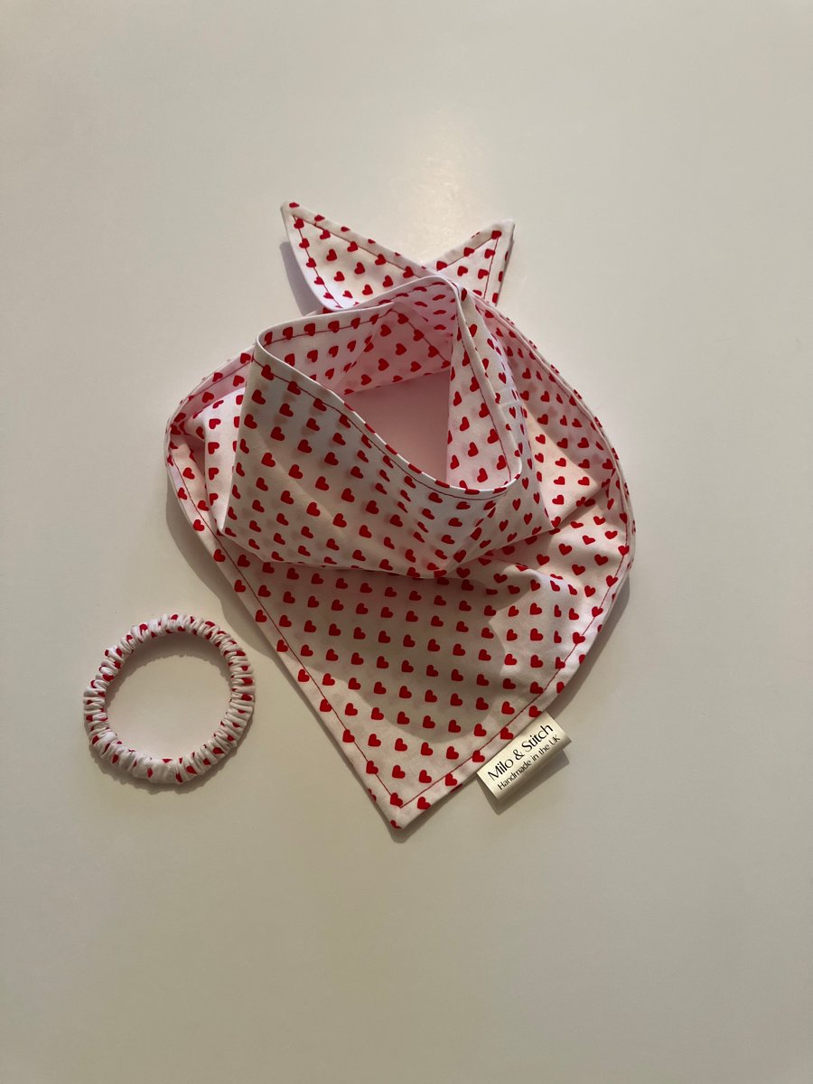 Medium Valentine's Dog Bandana & Scrunchie