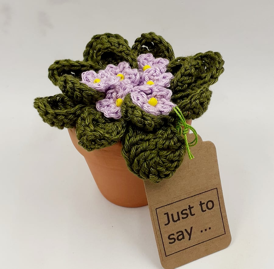 Small Crochet African Violet in a Terracotta Pot - Alternative to a Card 