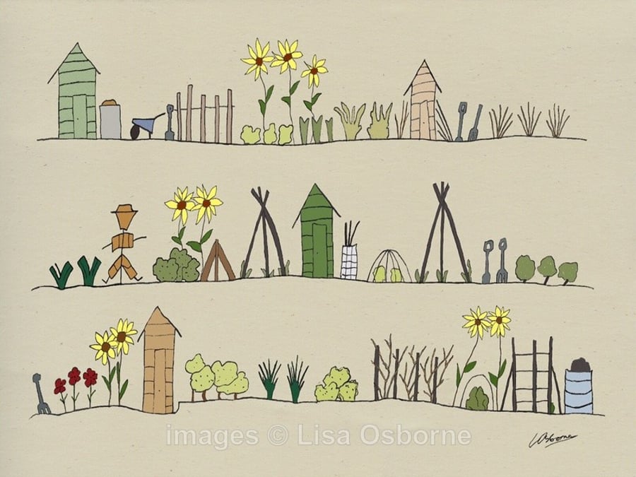 The Allotments. Signed print. Digital illustration. Gardening. Vegetable growing