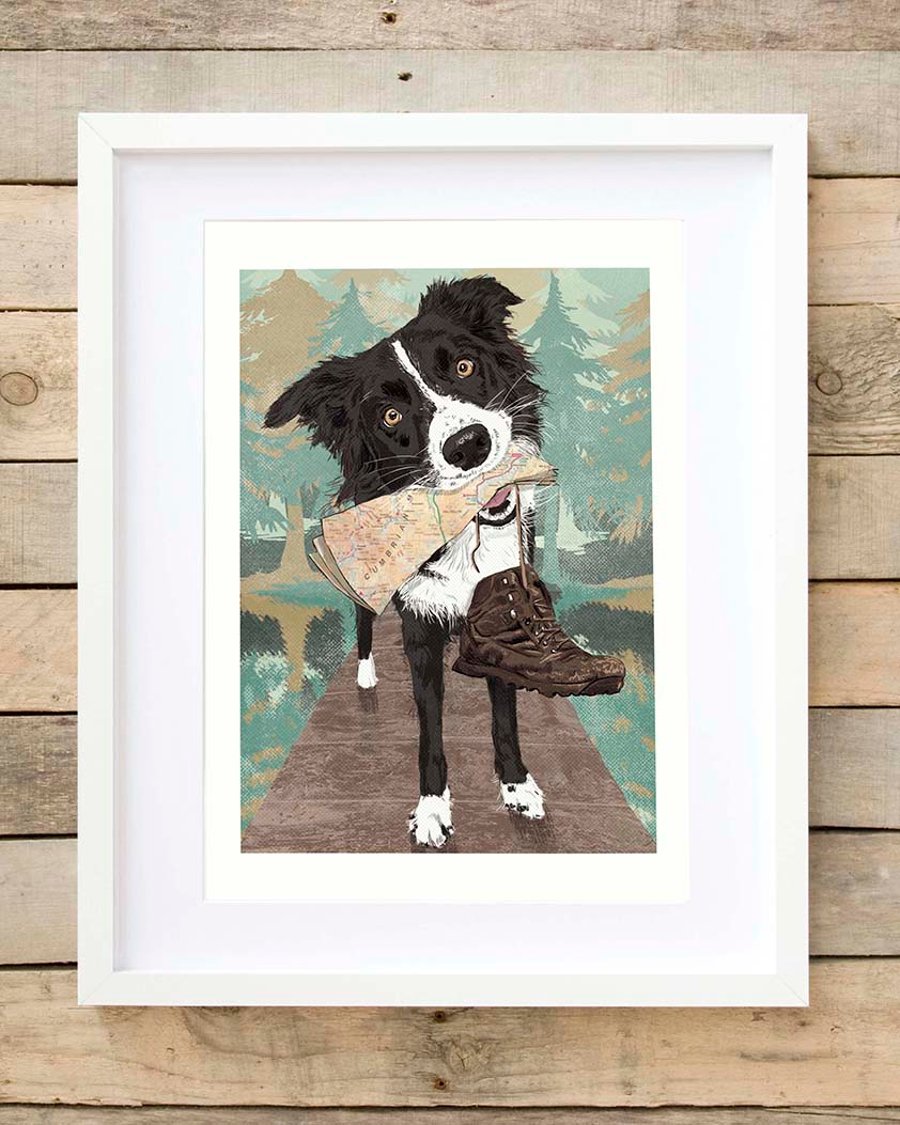 Border Collie wall art gift for hiker, Collie lover gift, gift for Collie Dad