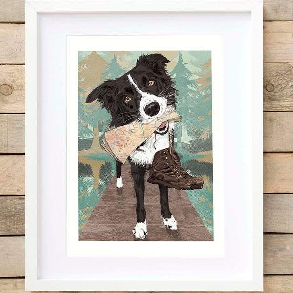 Border Collie wall art gift for hiker, Collie lover gift, gift for Collie Dad