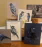 The Corvid Collection, a selection pack of 6 themed cards