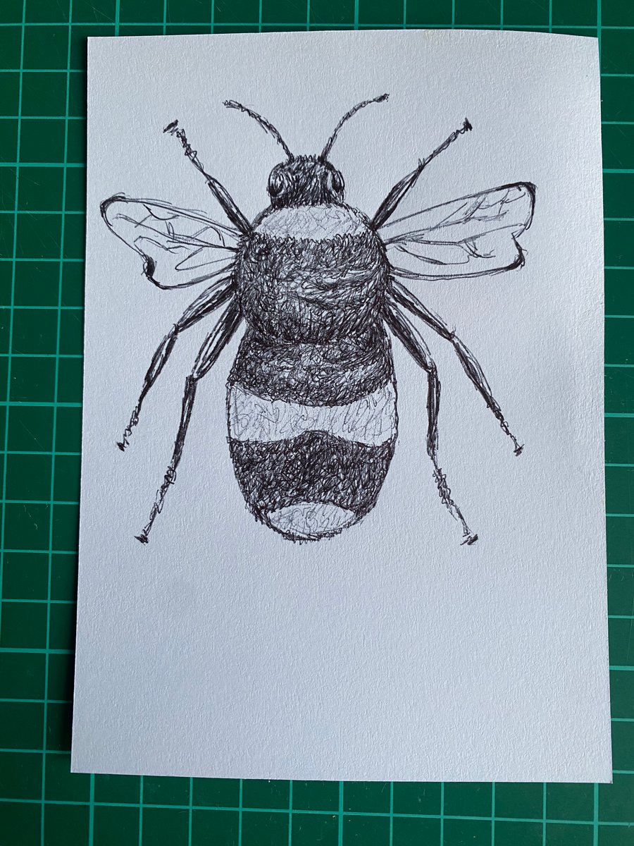 Bee Drawing