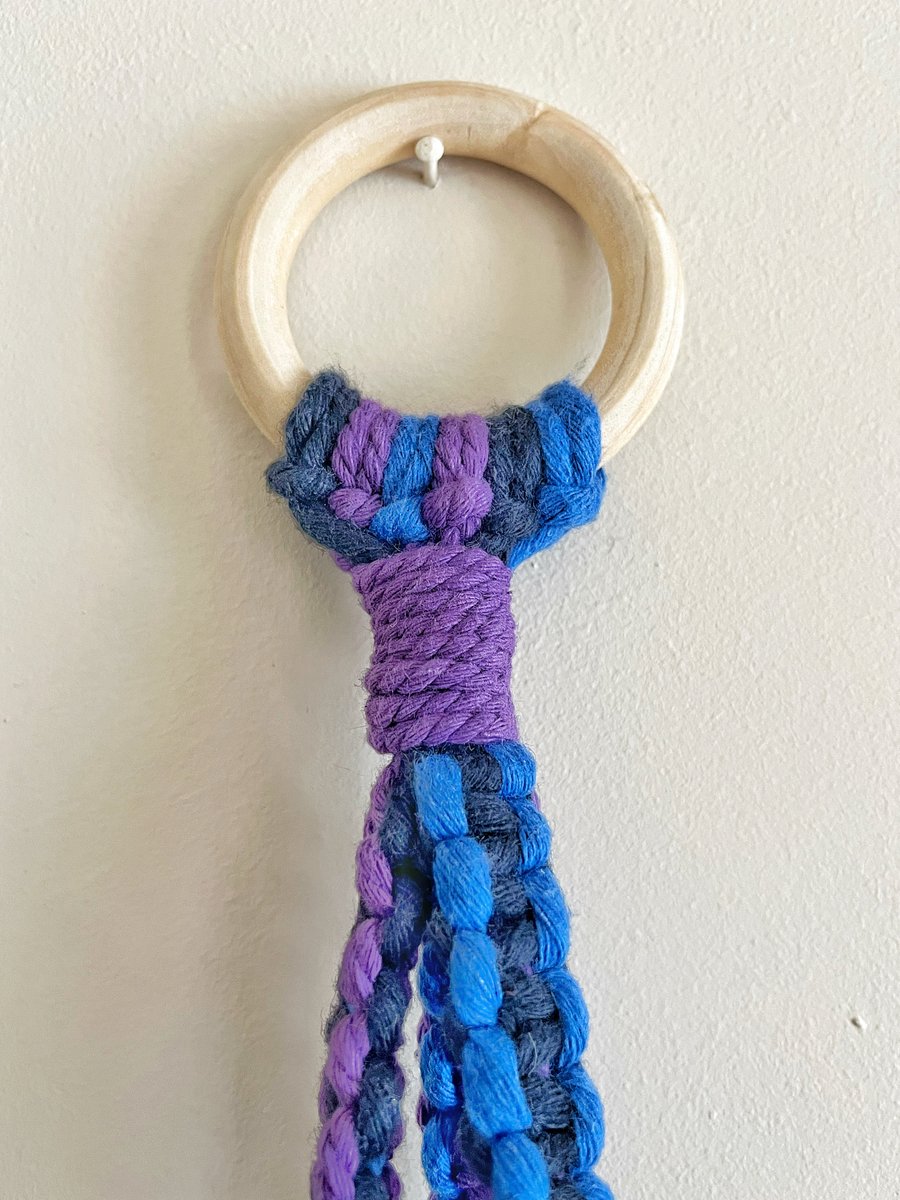 Purple & Blue Macrame Plant Hanger - Medium 