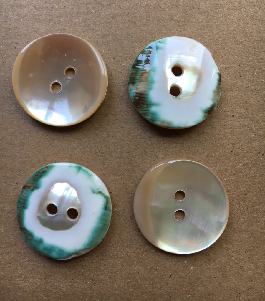 Snail Shell Buttons