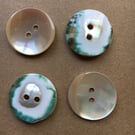 Snail Shell Buttons