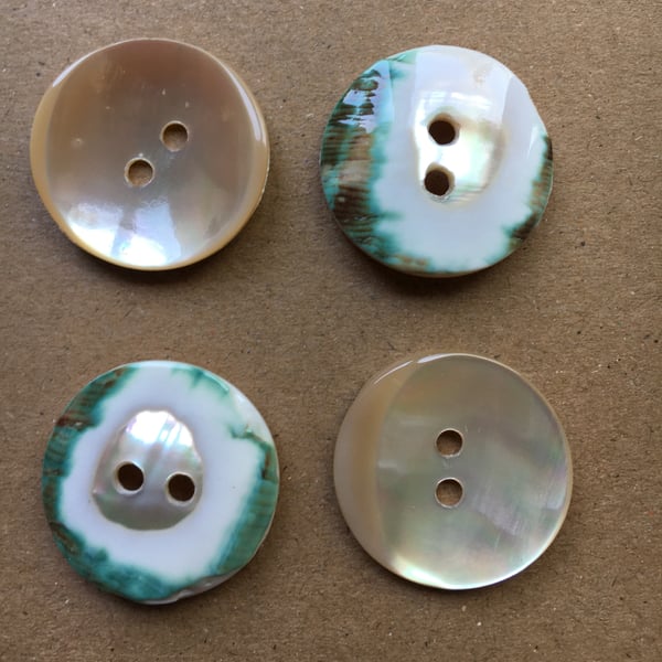 Snail Shell Buttons