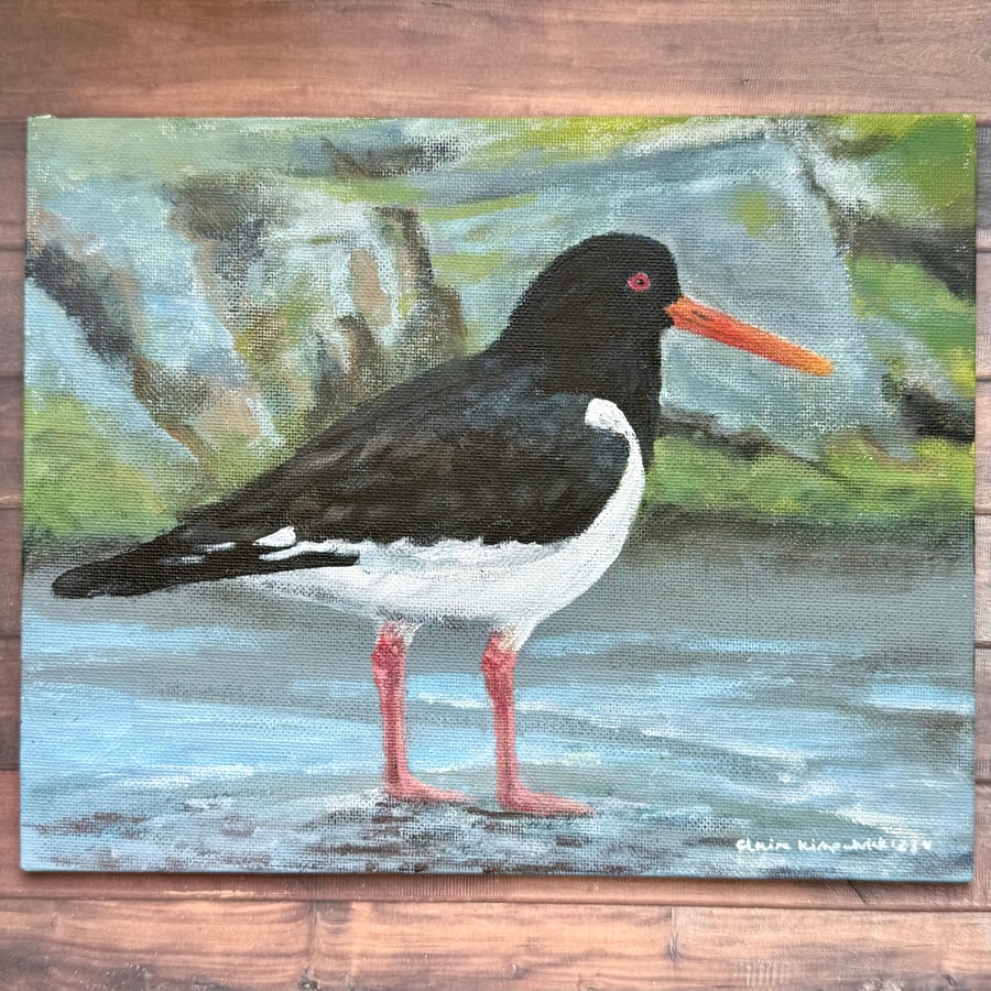 Oystercatcher Original Painting