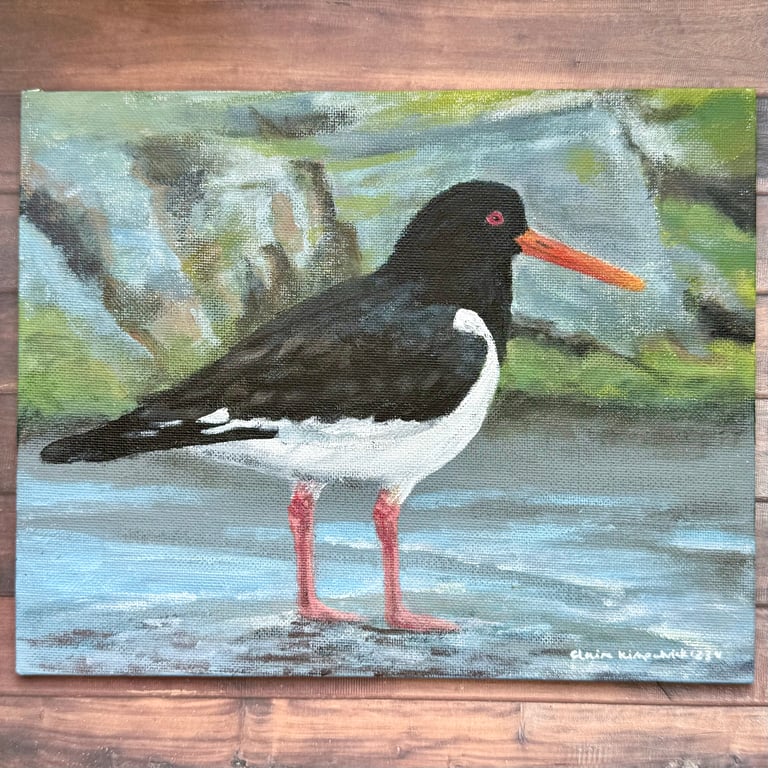 Oystercatcher Original Painting